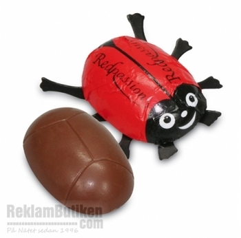 Chokladnyckelpiga