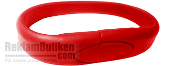 USB-minne Silicon 311