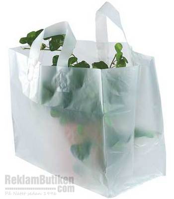 Plantkasse transparent