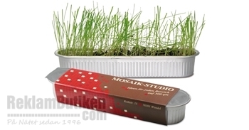 Plantl�da
