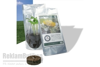 Blomma i p�se