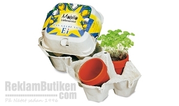 �ggkartong med aubergine planta